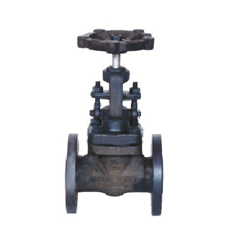 SHREEKAR Stainless Steel Industrial Globe Valve