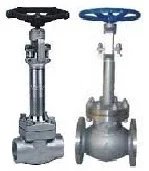 Cryogenic Globe Valve