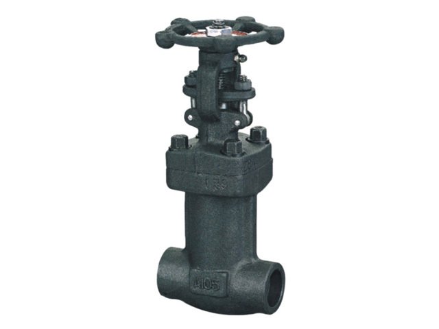 SVR Bellow Gate valve