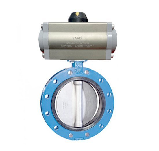 SS Operated Double Flanged Valves