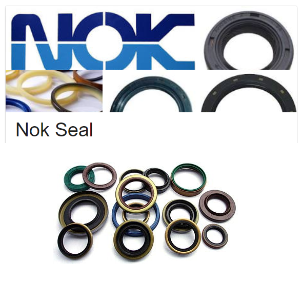 NOK Excavator Seal Kit