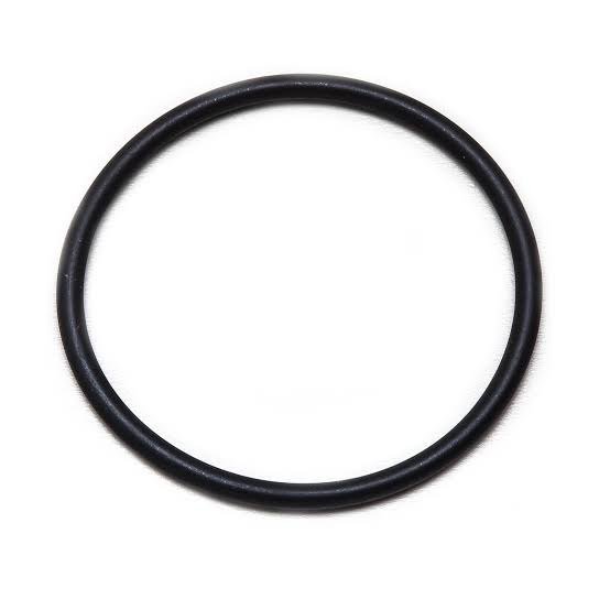 Neoprene O Ring