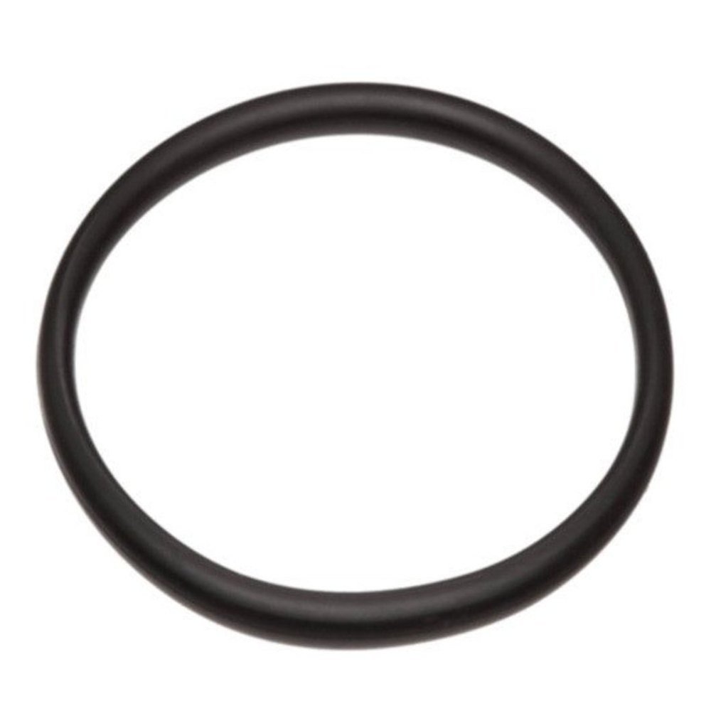 Neoprene O Ring