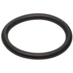 Neoprene O Ring