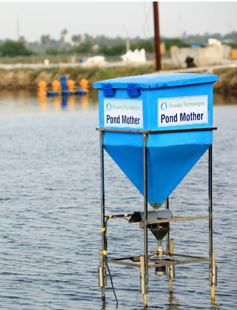Pond Motor