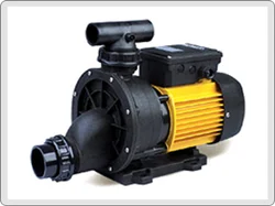 Jacuzzi Pumps