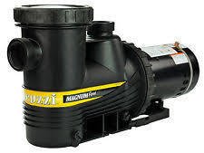 Jacuzzi Pump