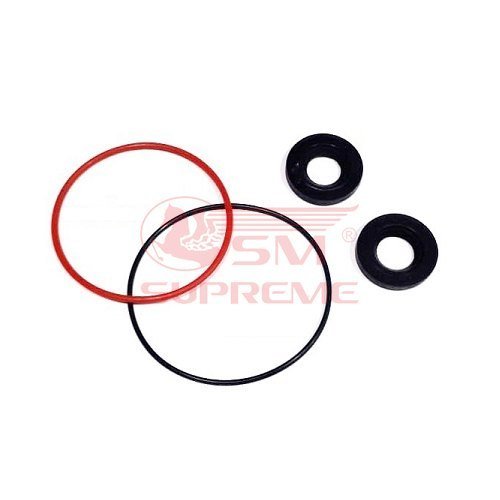 Seal & Ring Set for Vacuum Pump