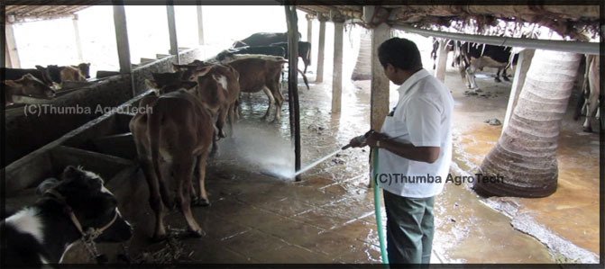 Dairy Dung Cleaning Pump System